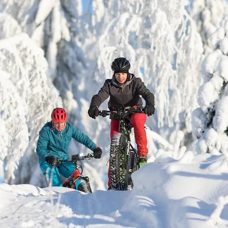 Tahko Spa Hotel 4* Tahkovuori