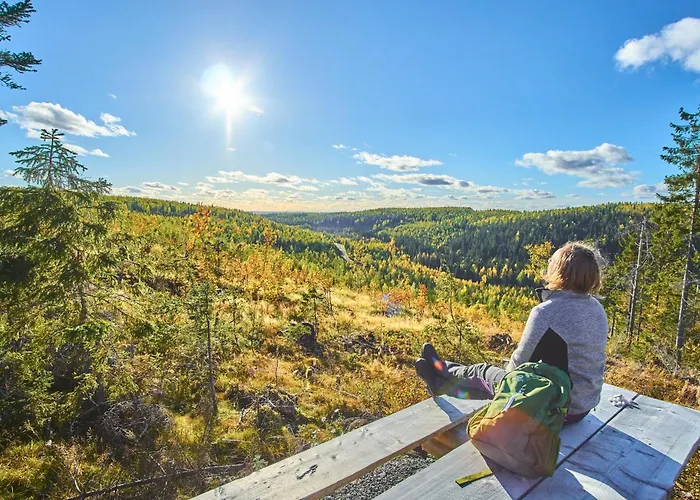 Aparthotel Tahko Spa Hotel 4*