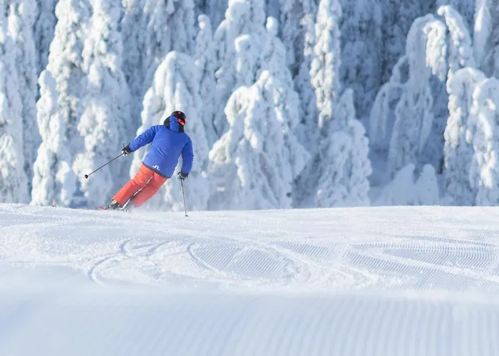 Tahko Spa Hotel شقة فندقية 4*