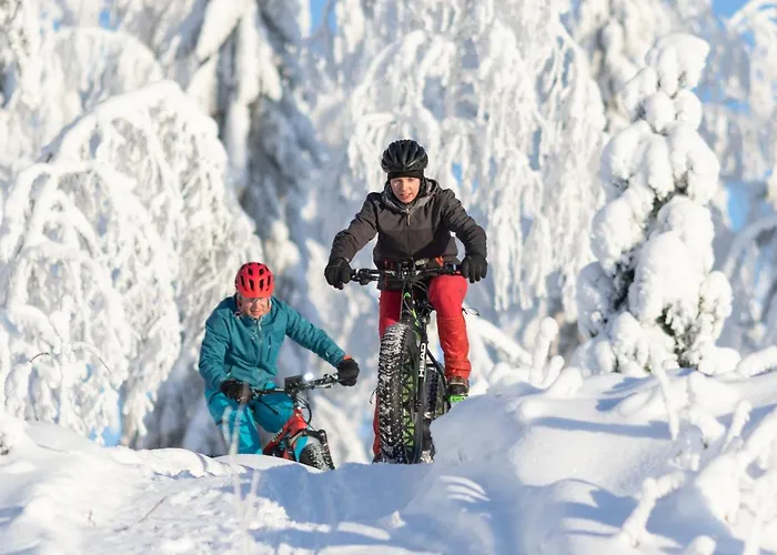 Tahko Spa Hotel 4* Tahkovuori